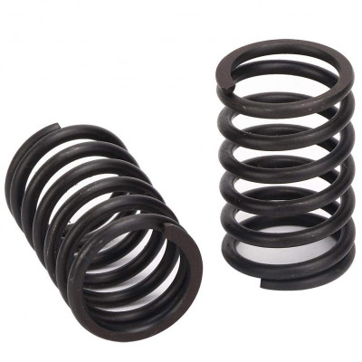 Spring for Element with Valve