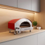 Alfonsino 1 Pizza Gasofen