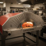 Horno de gas y leña Alfonso 12 pizzas híbrido profesional, sin carro