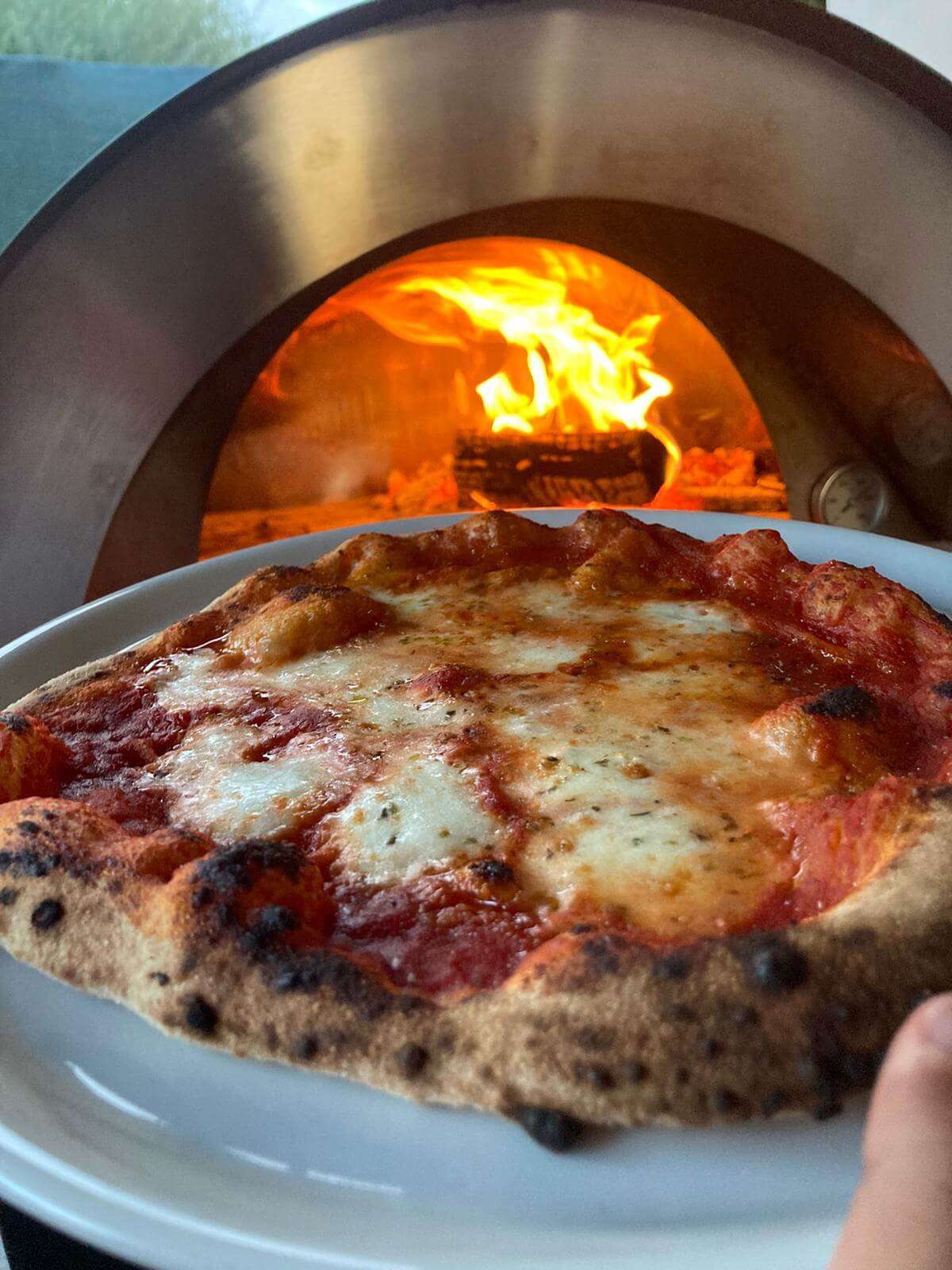 Forno per pizza a legna Alfonso Forni fino a 6 pizze!