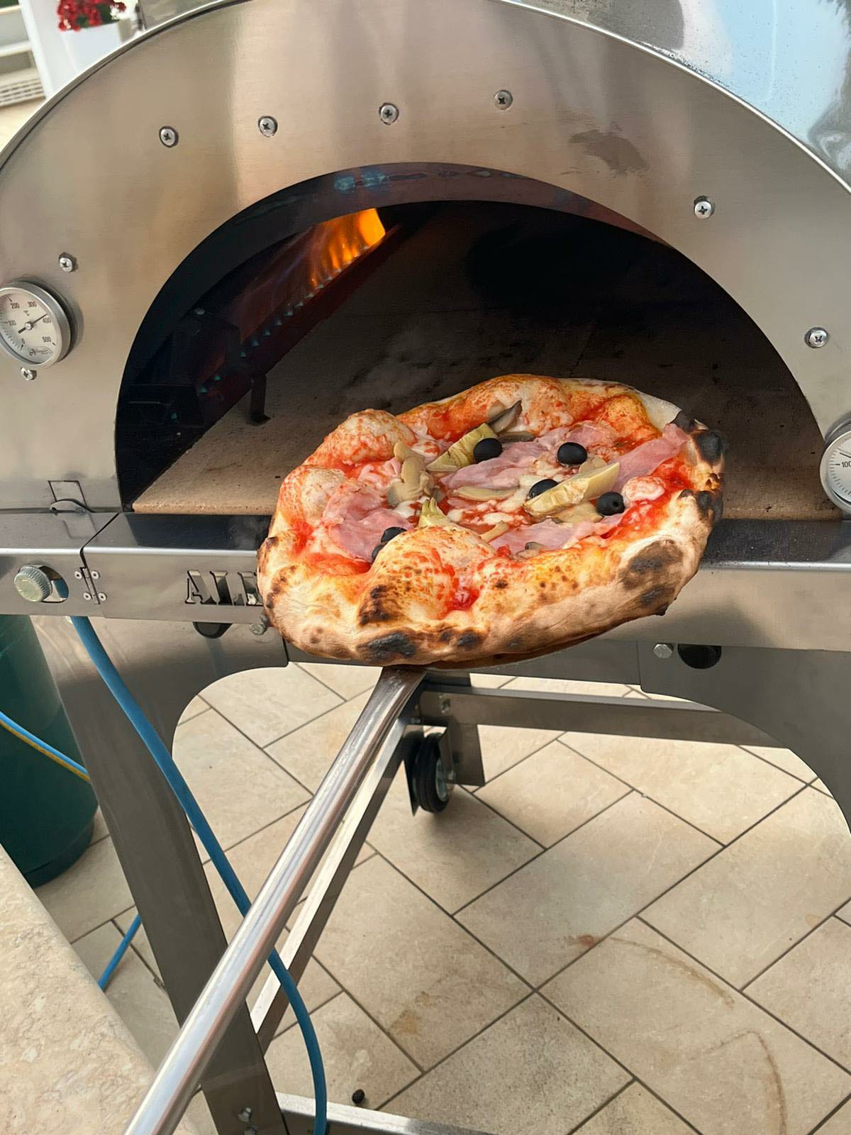 Alfonso 6 Pizze Ibrido: Il Miglior Forno a Gas Legna con Tetto e Carrello  in Inox, Prestazioni Eccellenti per Cucina e Versatili